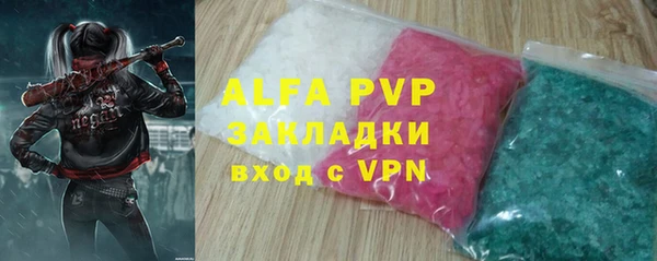 крисы Бородино