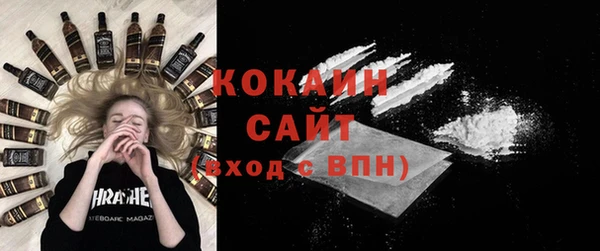 крисы Бородино