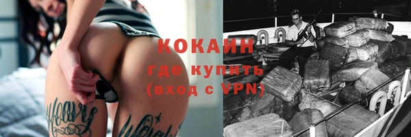 крисы Бородино