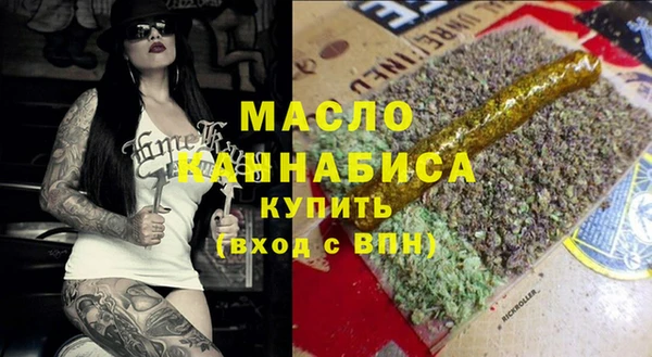 крисы Бородино