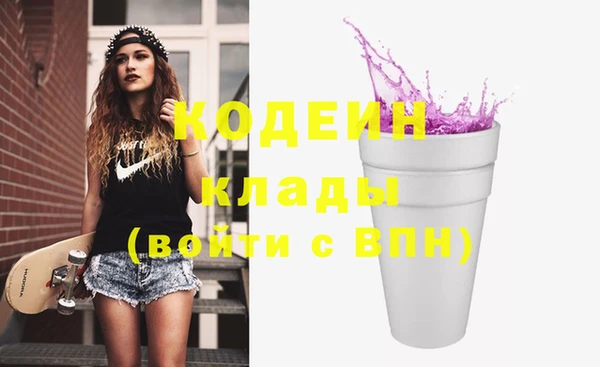 крисы Бородино