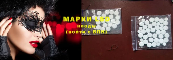 крисы Бородино