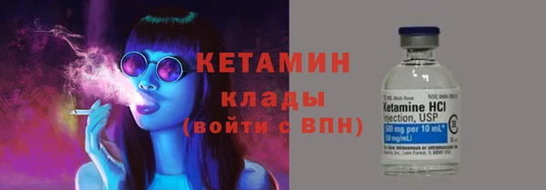 крисы Бородино