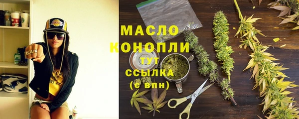 крисы Бородино