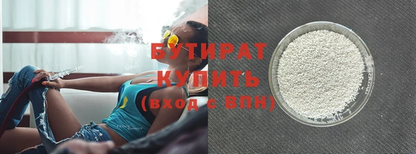 крисы Бородино