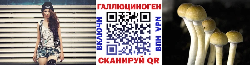 Купить закладки  Славянск-на-Кубани  Псилоцибиновые грибы Psilocybe 